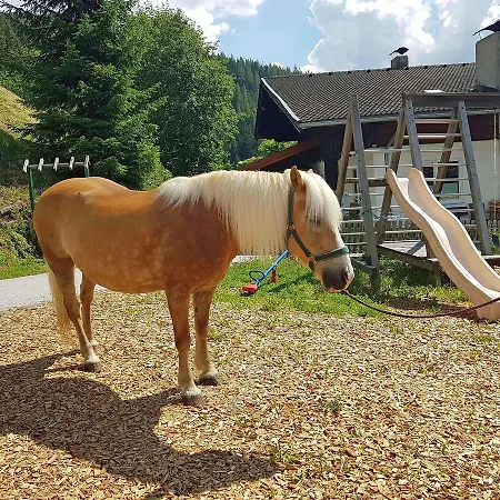 شقة Almliesl Zell-448 *